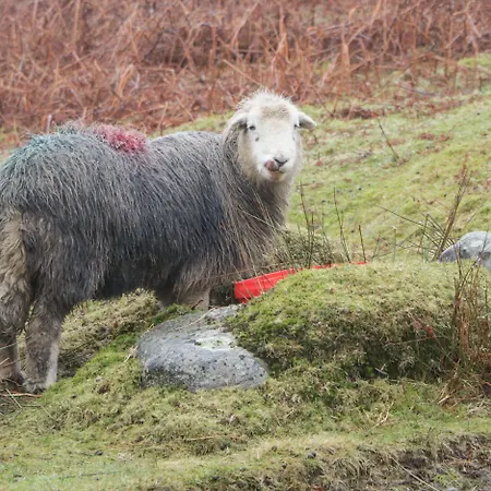 Nyaraló Moss Side Farm Lower Hawthwaite