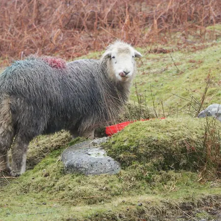 Moss Side Farm Lower Hawthwaite